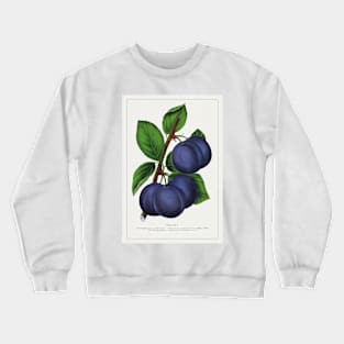 Niagara Plum Lithograph (1900) Crewneck Sweatshirt